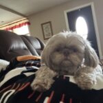 Lima oh Sophie Trent